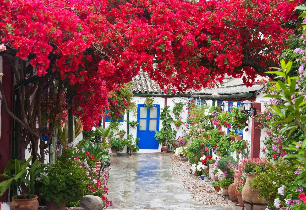 Апартаменты Casa Turistica San Agustin Кордова Экстерьер фото